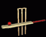 Cricket Stumps Animation 2